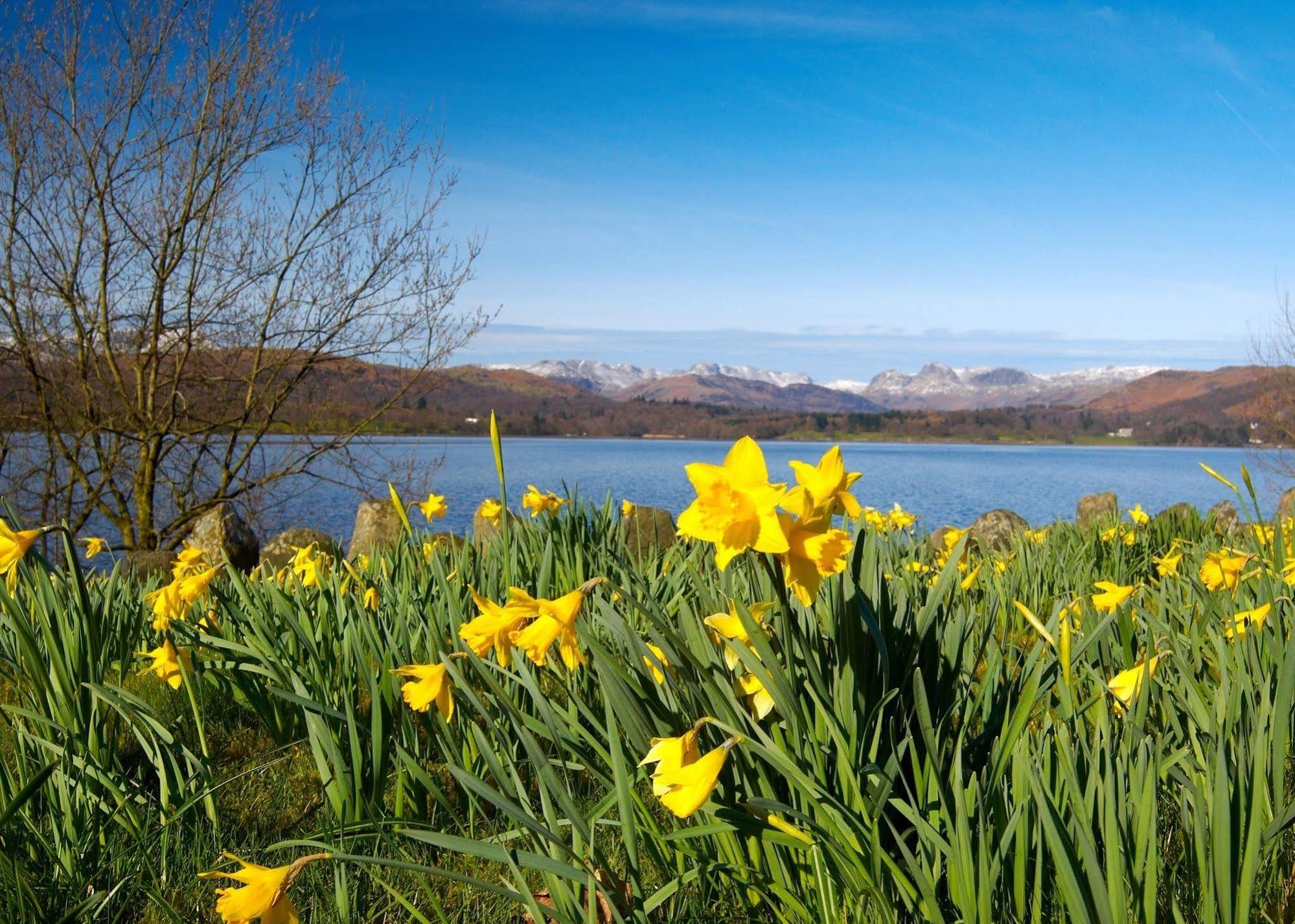 May Cottage B&B Bowness-on-Windermere Ngoại thất bức ảnh