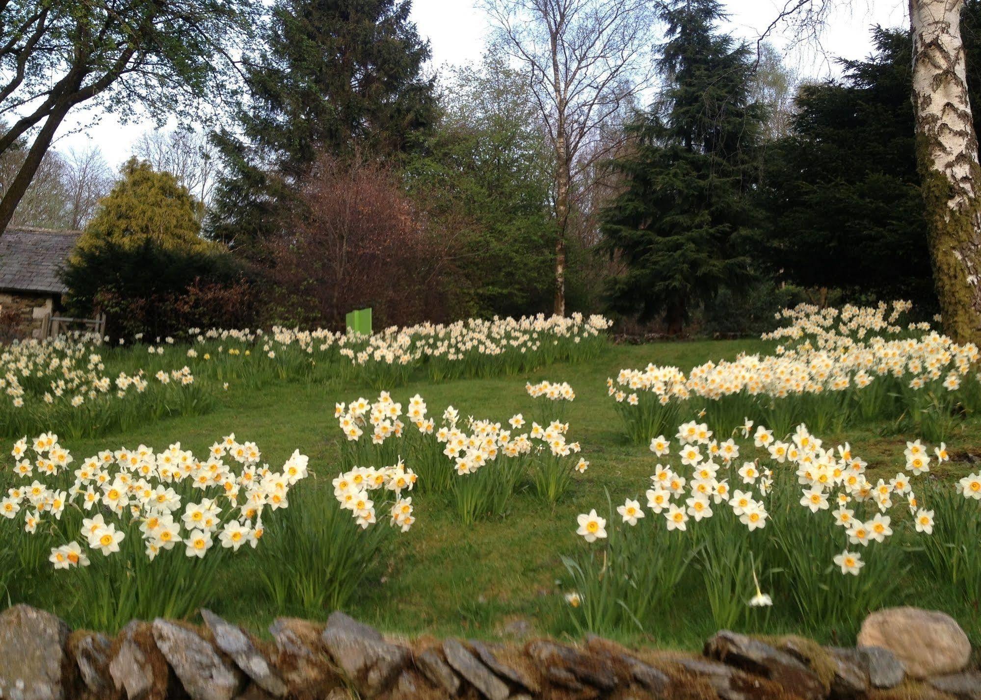 May Cottage B&B Bowness-on-Windermere Ngoại thất bức ảnh